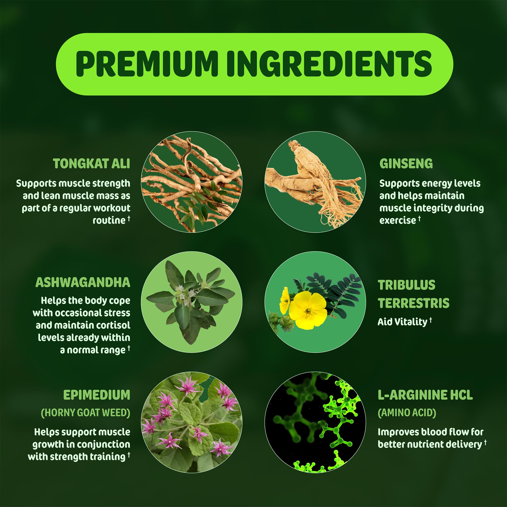 SLADAK NATURALS tongkat ali y tribulus destacados como ingredientes clave