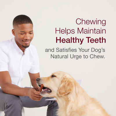 SmartBones being chewed by small dog demonstrating engaging texture