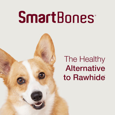 SmartBones several mini bones in a bowl illustrating portion and appeal