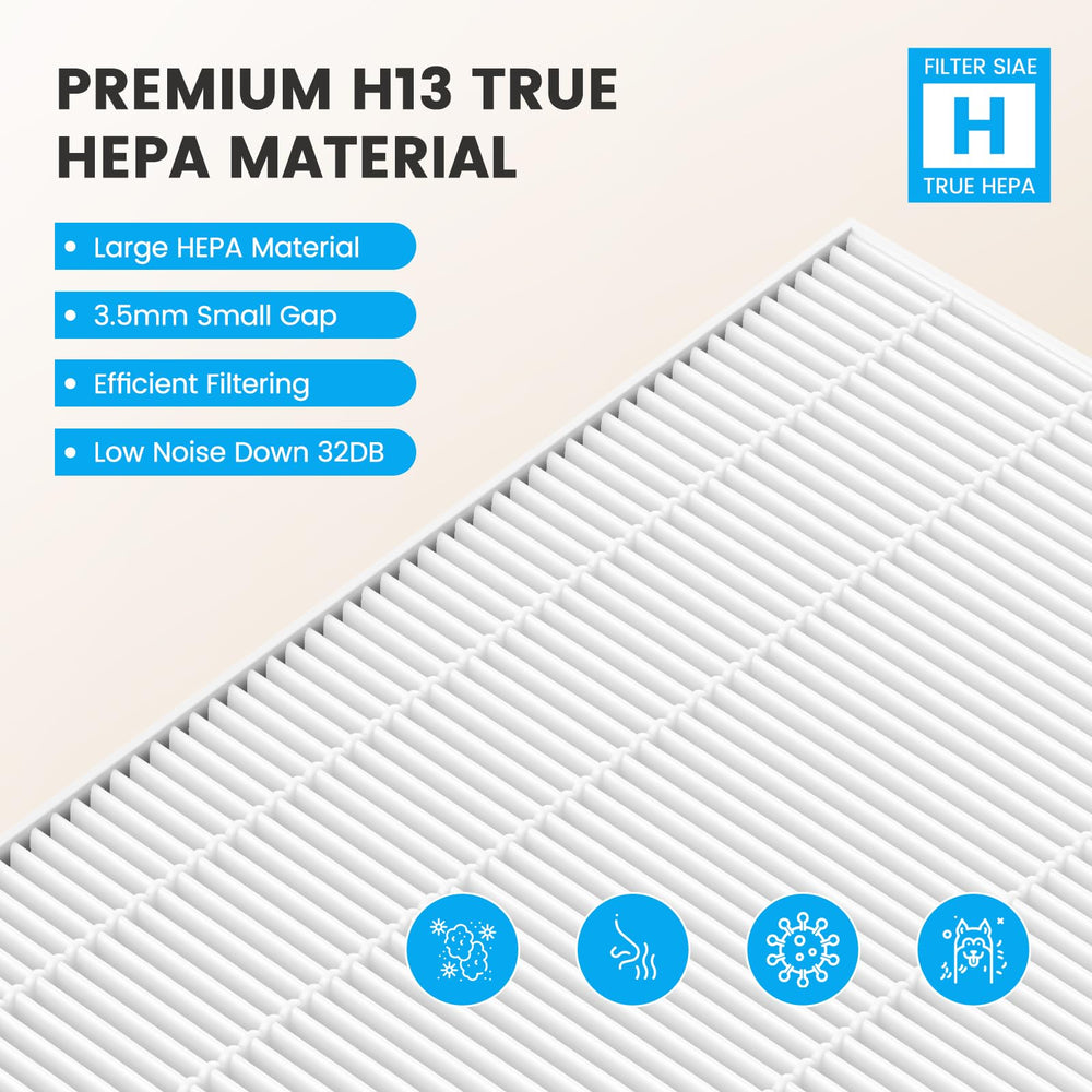 Smilyan packaged two HEPA and two carbon filters displayed to show value and readiness