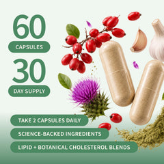 Snap Supplements bottle with capsules spread beside it demonstrating capsule appearance and count