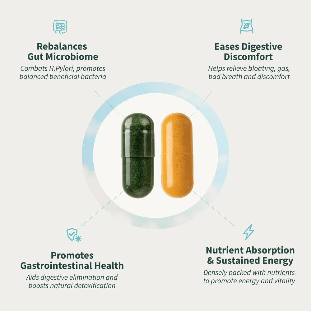 Snap Supplements etiqueta de ingredientes clave destacando transparencia y calidad