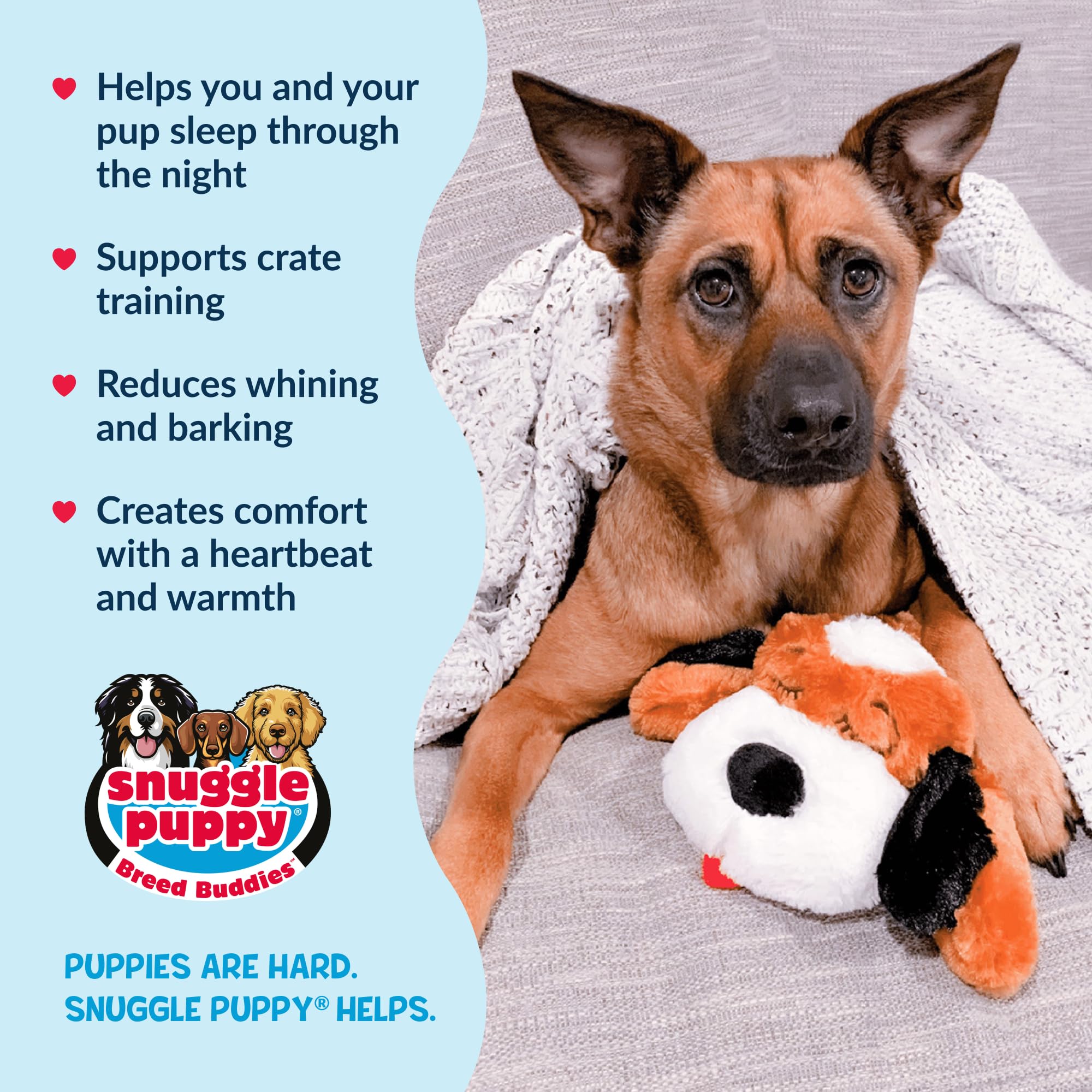Snuggle Puppie dentro de jaula ilustrando apoyo al entrenamiento y descanso