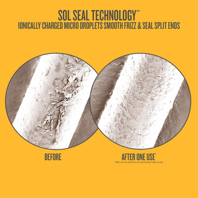Sol de Janeiro before and after ends comparison showing visible split-end sealing