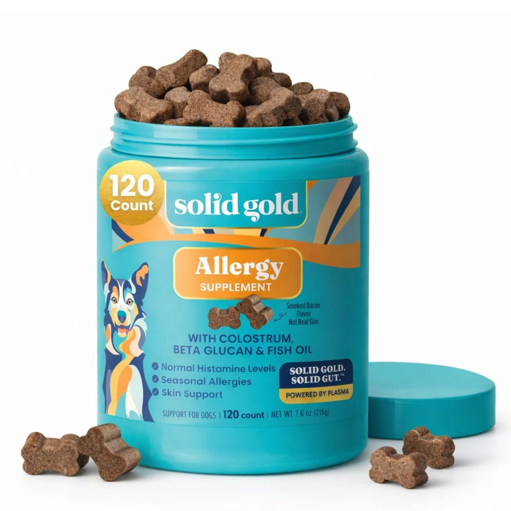 Solid Gold frasco frente mostrando masticables para alivio de alergias y conveniencia