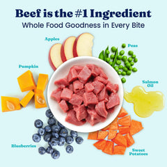 Solid Gold ingredientes con carne de res real destacada para alta proteína