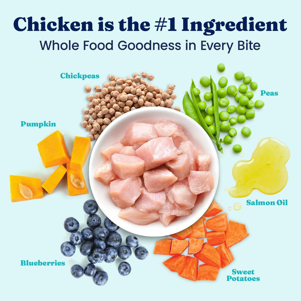 Solid Gold ingredientes principales con pollo real visible, proteína de calidad