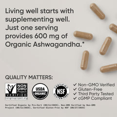 Sports Research capsules in hand demonstrating serving size and daily convenience benefit