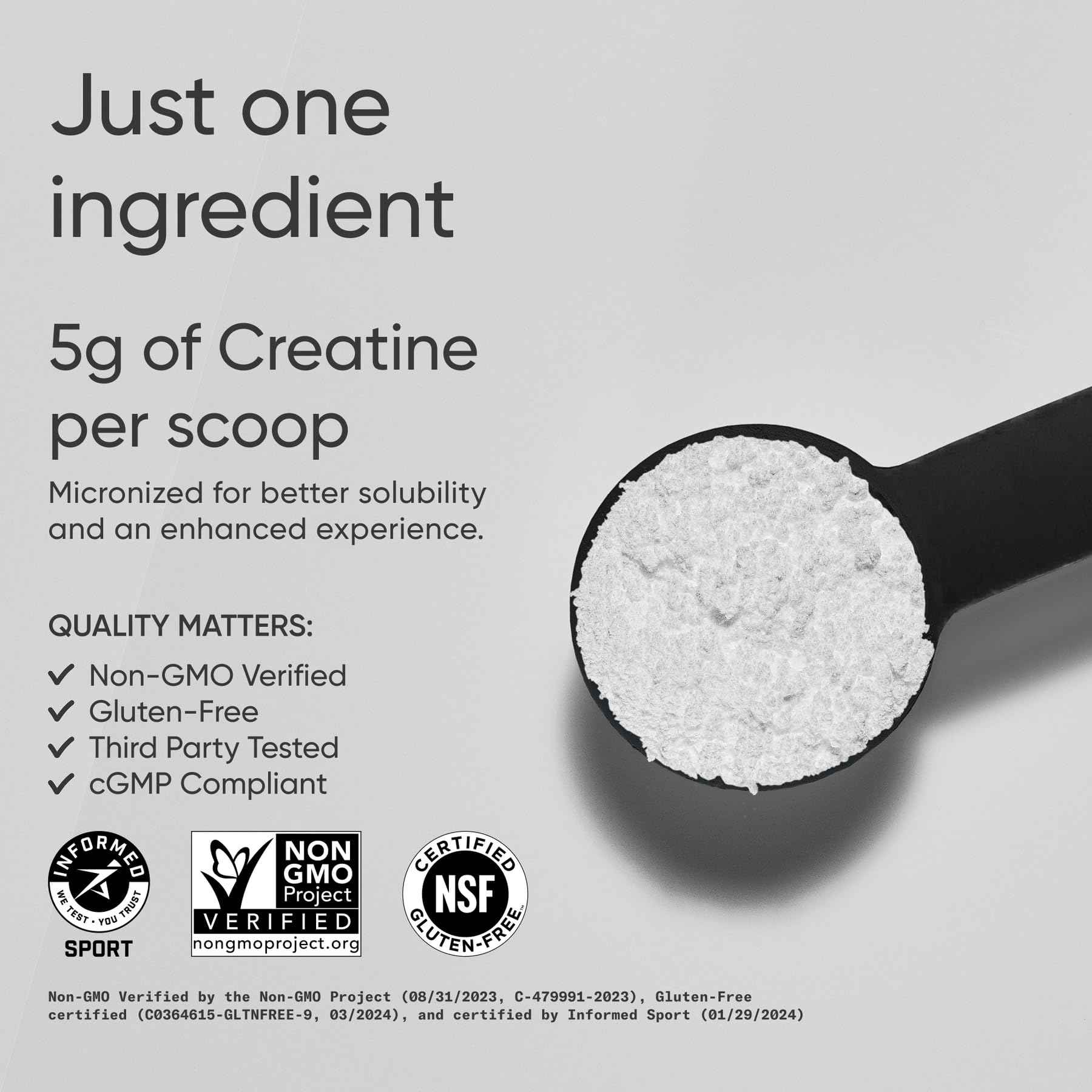 Sports Research cucharilla con 5 g de creatina, medida clara y precisa
