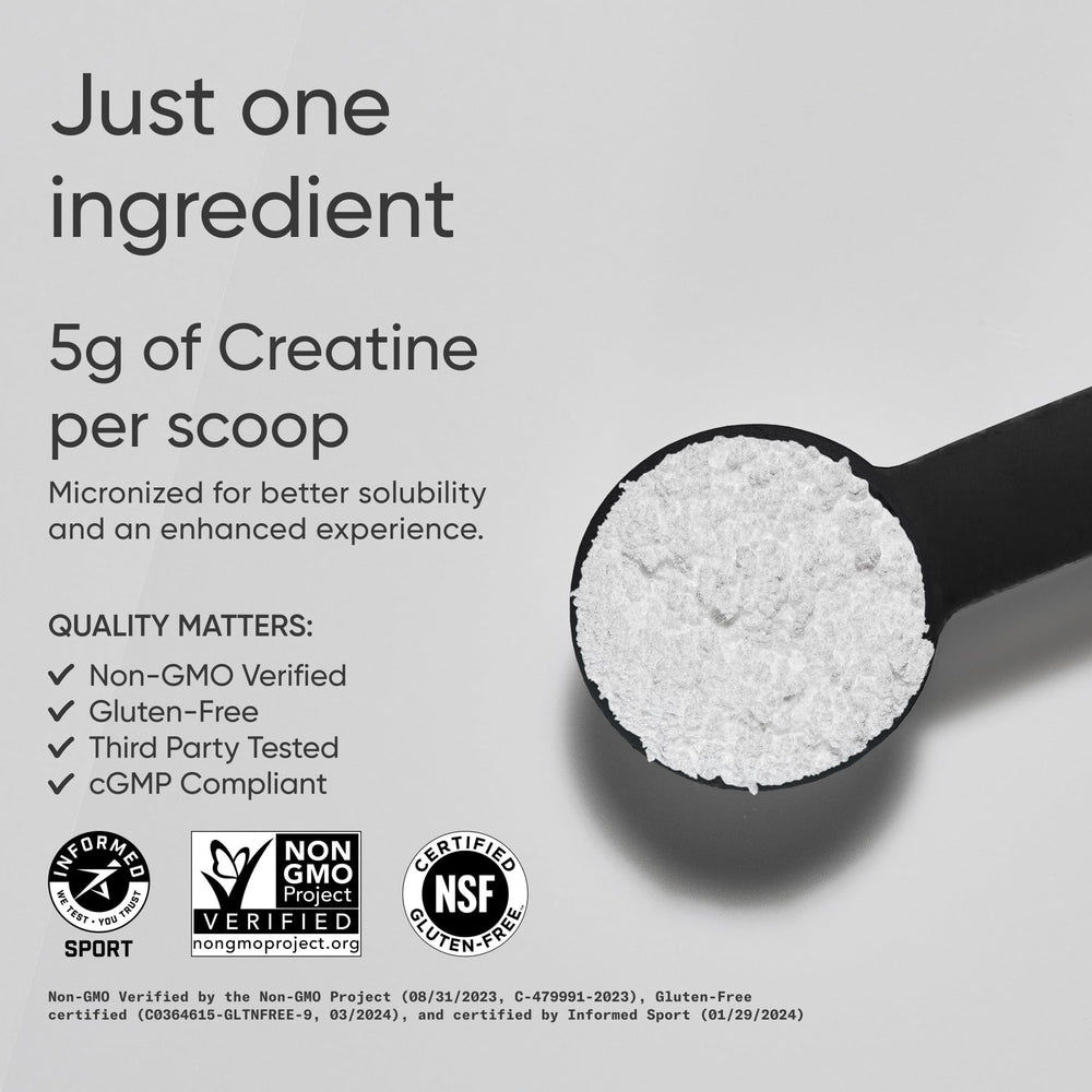 Sports Research cucharilla con 5 g de creatina, medida clara y precisa