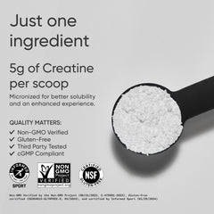 Sports Research cucharilla con 5 g de creatina, medida clara y precisa