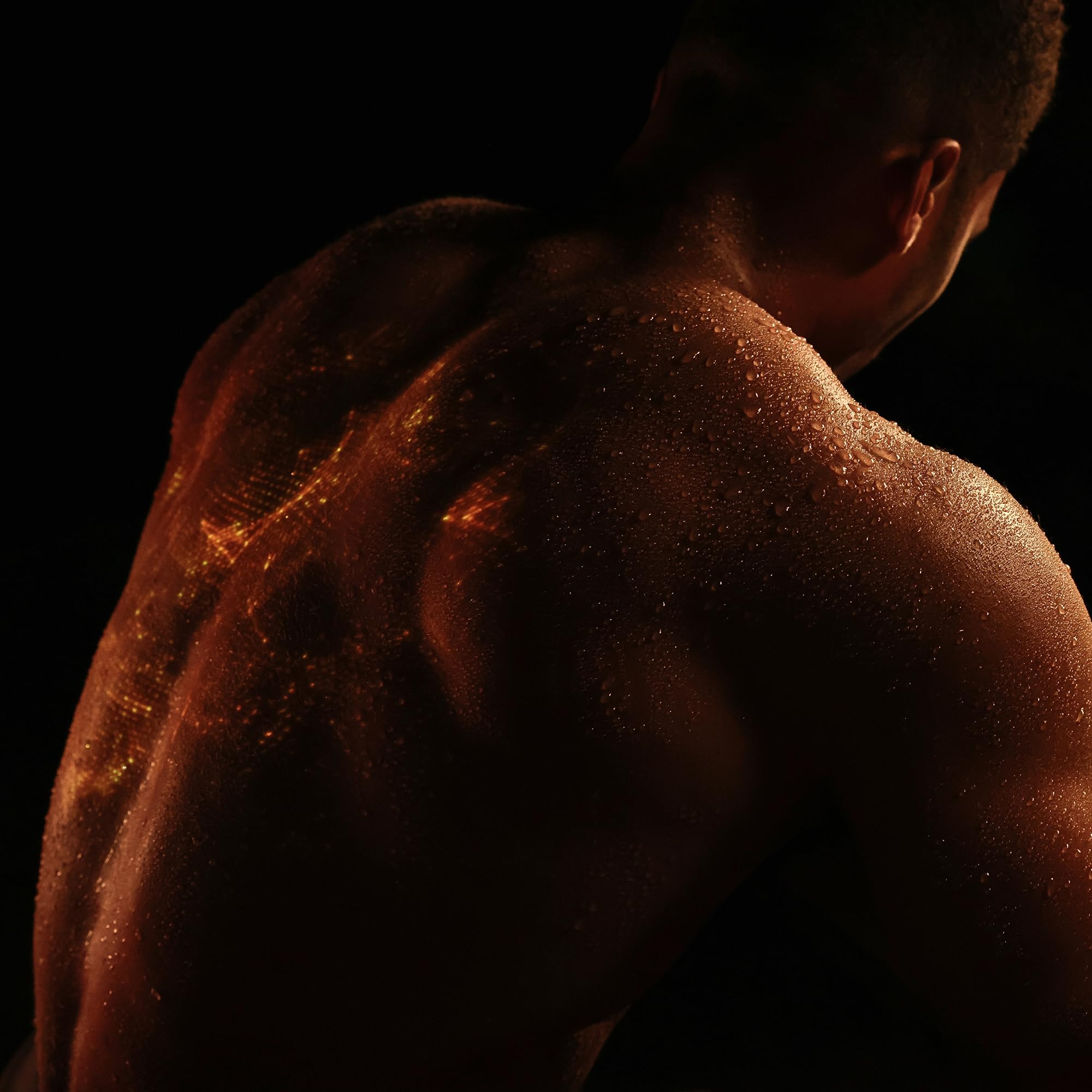 Sports Research waist trimmer etiqueta y embalaje con información de tallas