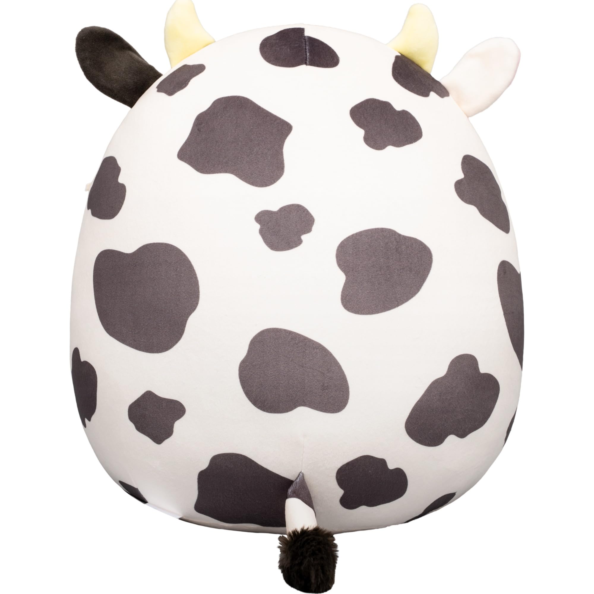 Squishmallows Colin sobre mesa de fiesta, aporta decoración alegre