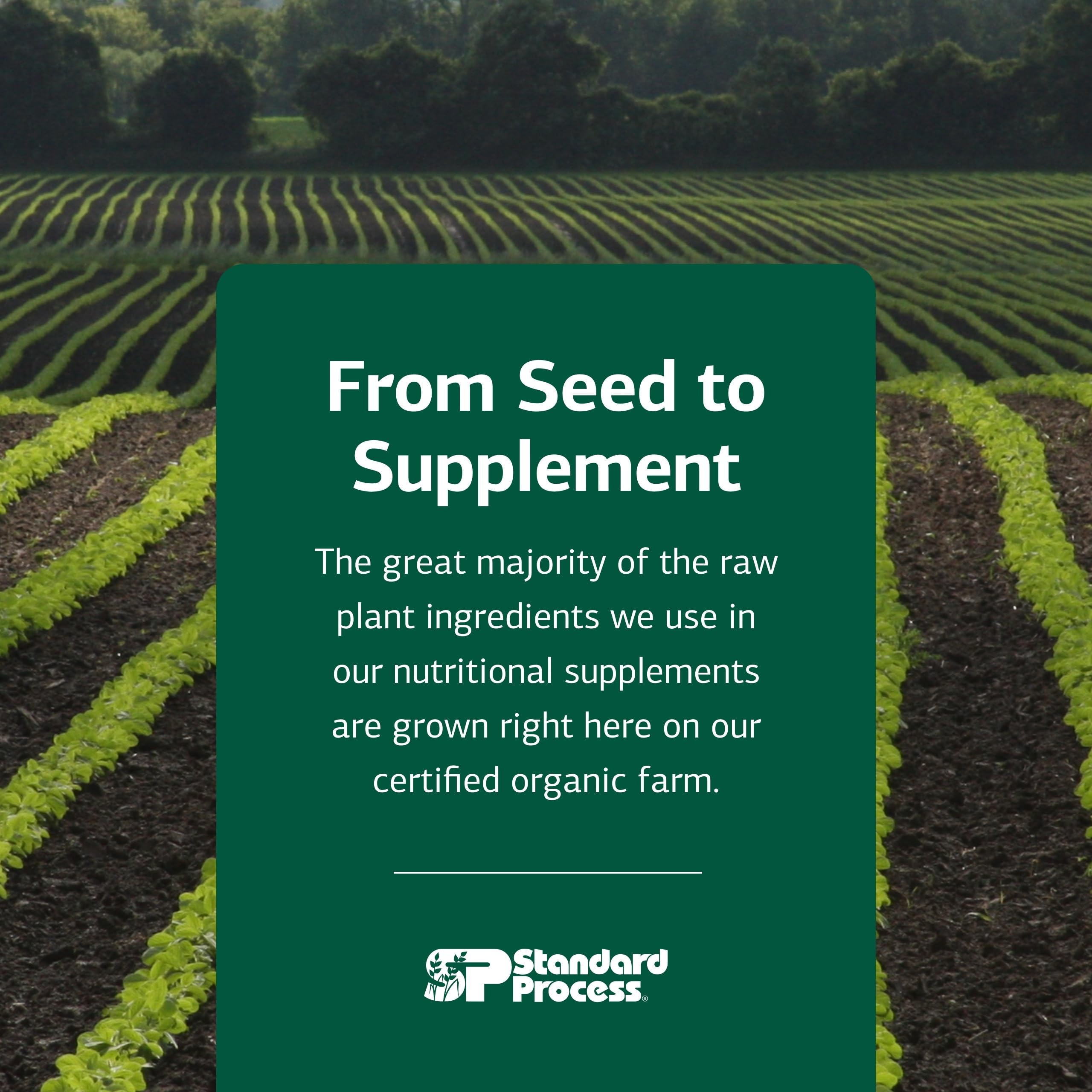 Standard Process A-F Betafood back packaging showing supplement facts and storage guidance