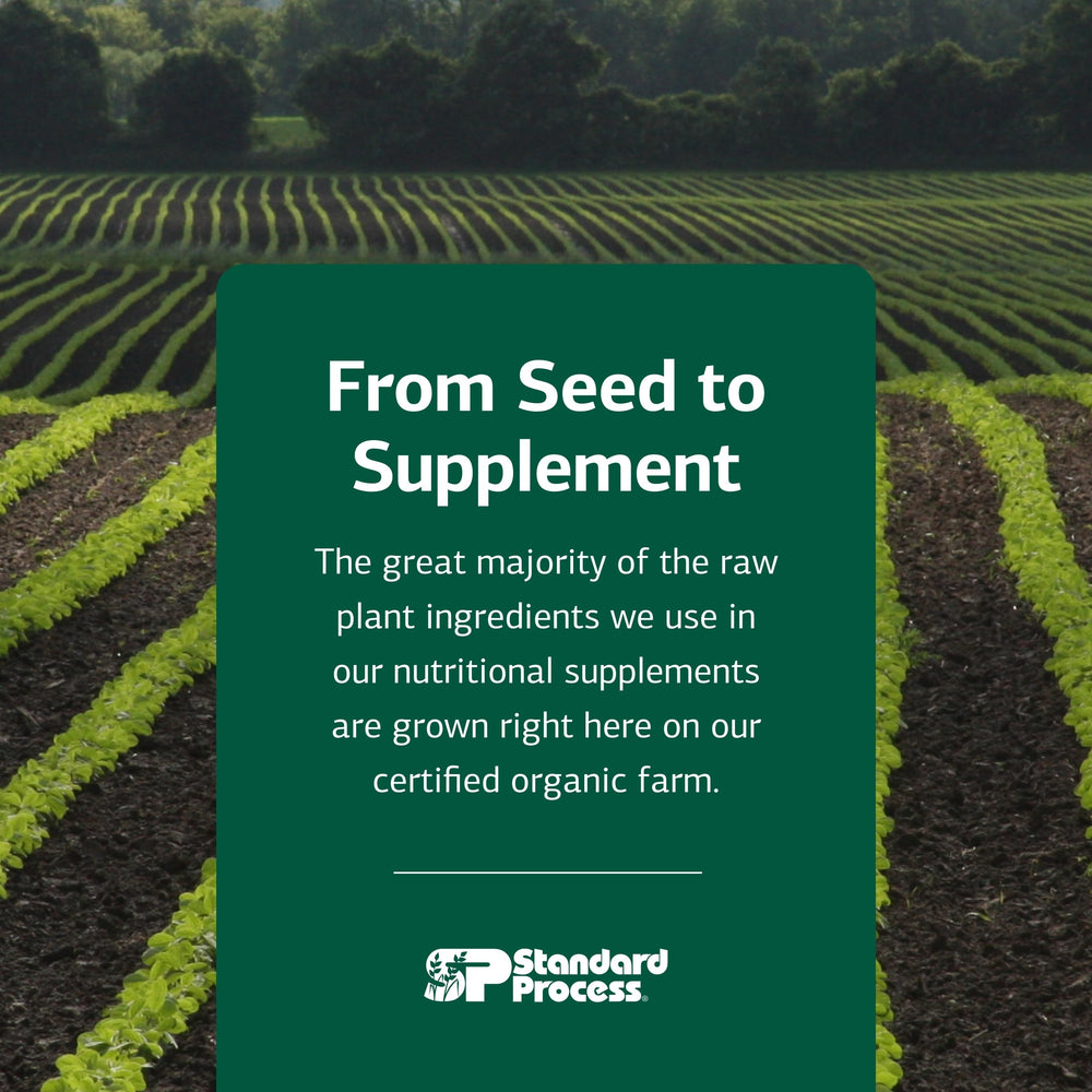 Standard Process A-F Betafood back packaging showing supplement facts and storage guidance