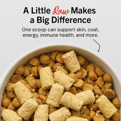 Stella & Chewy's close-up freeze-dried patties showing preserved raw nutrition