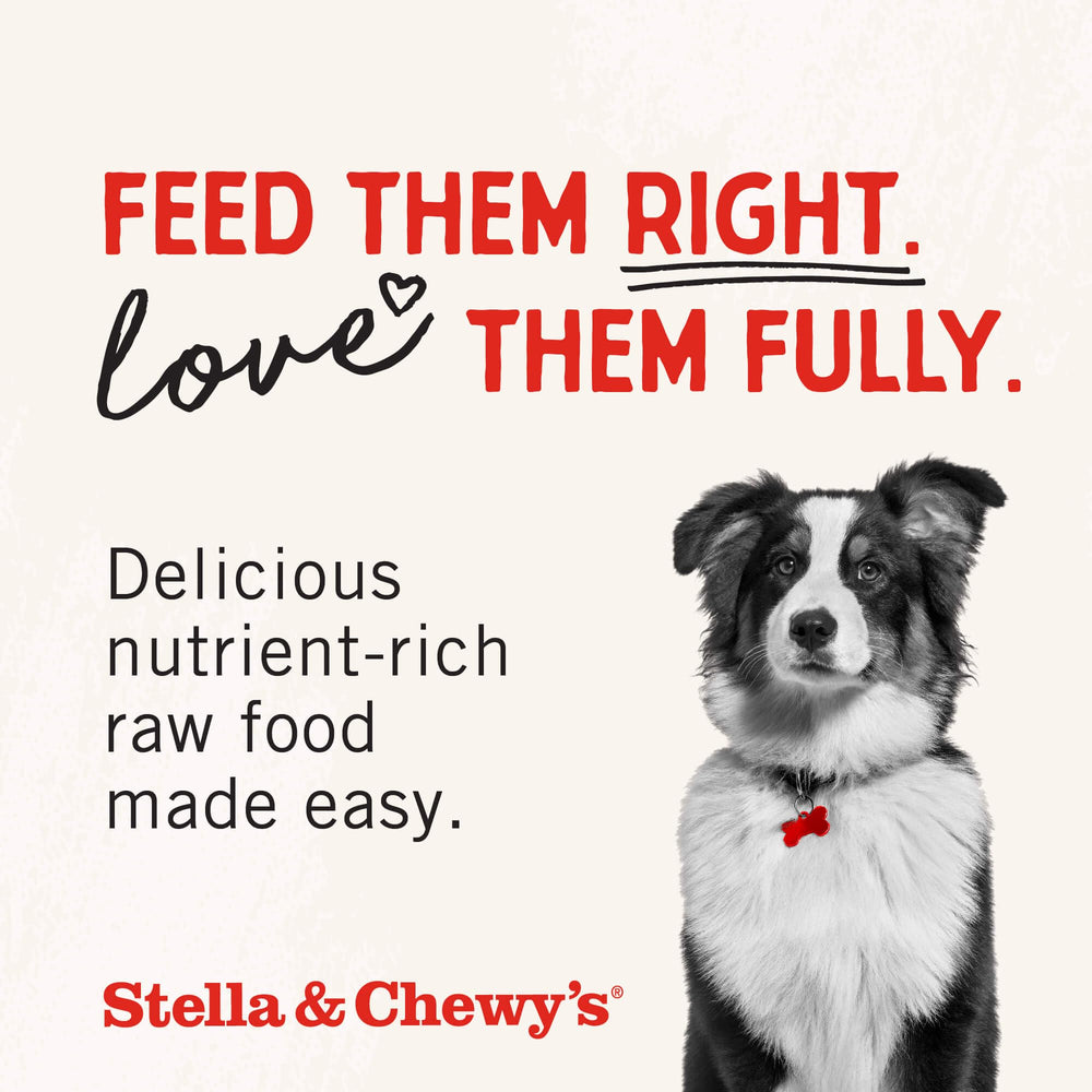 Stella & Chewy's perro comiendo en estilo de vida mostrando aceptación del premio