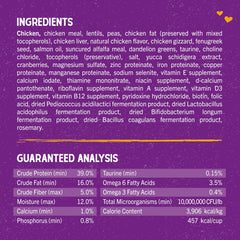 Stella & Chewy's freeze-dried coating detail emphasizing rich raw flavor