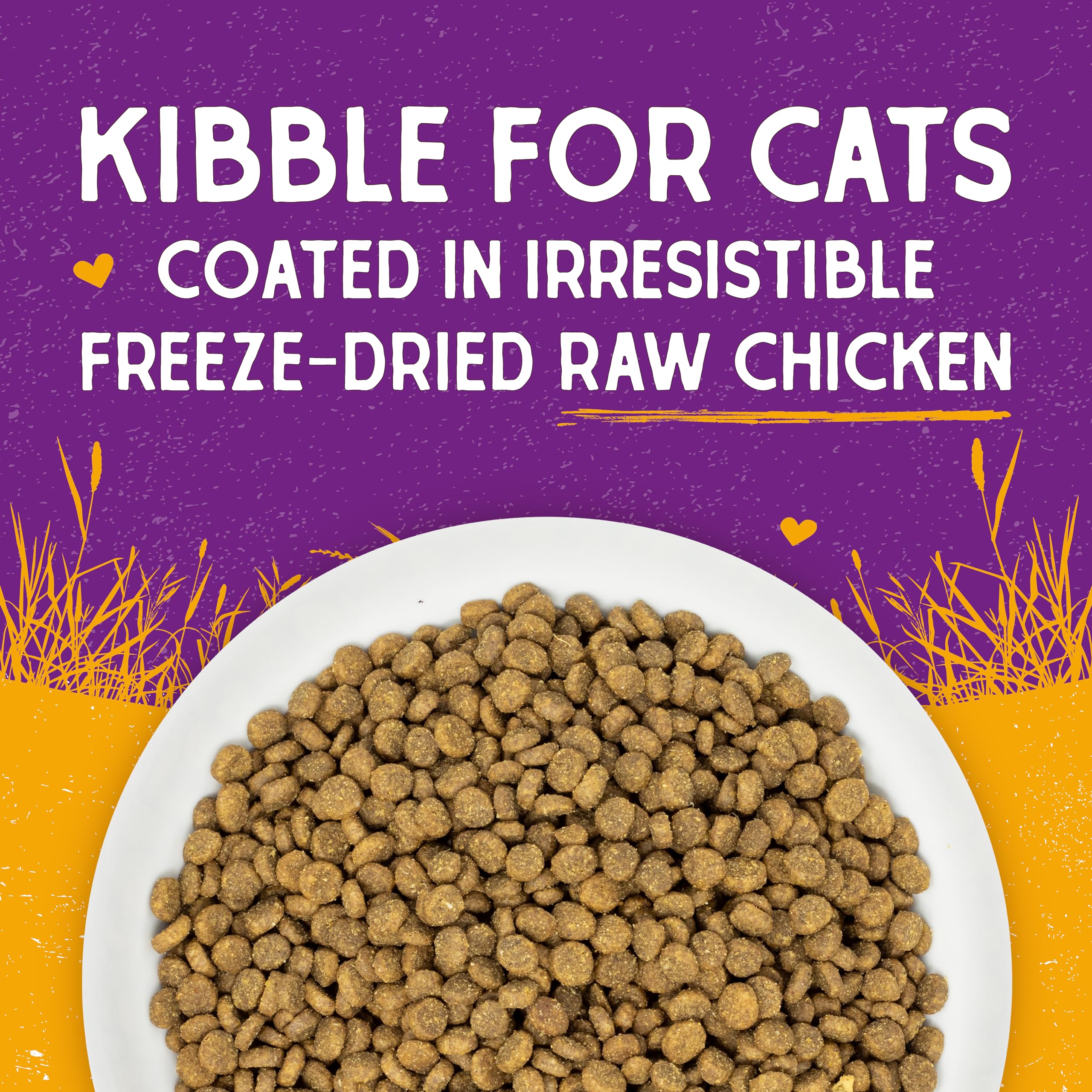 Stella & Chewy's ingredient label closeup showing cage-free chicken highlight
