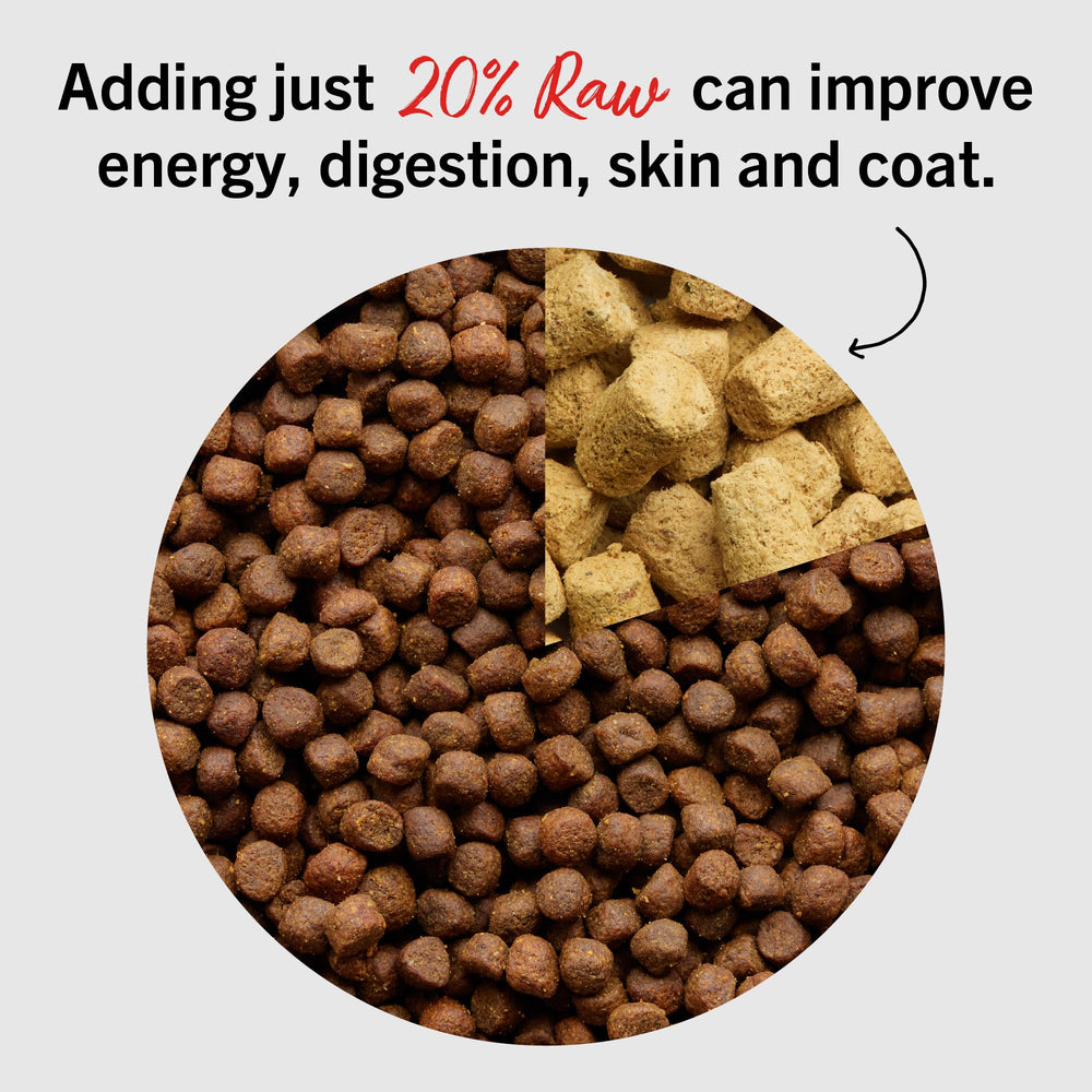 stella & chewy's raw ingredients spread showing cage-free chicken quality