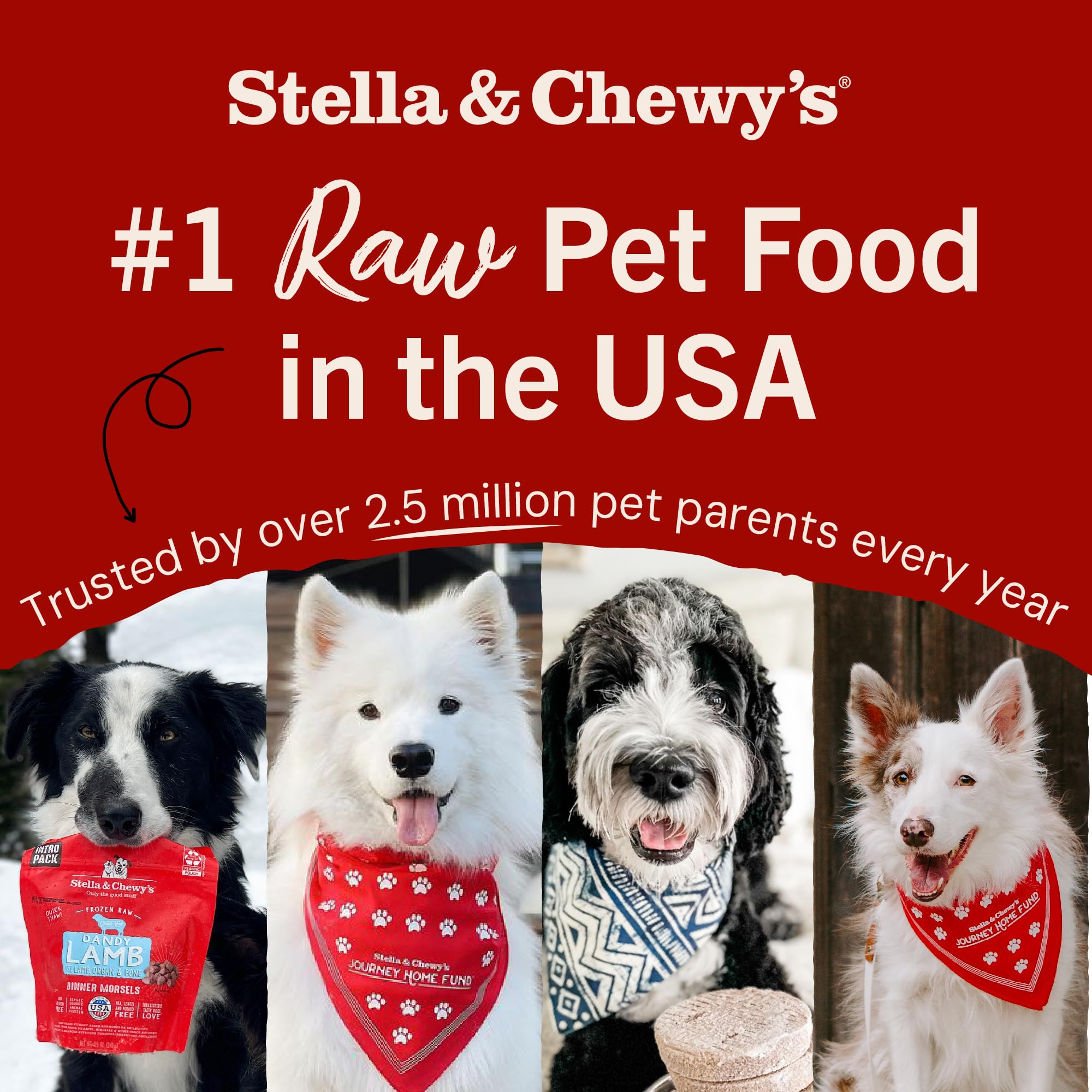 Stella & Chewy's airtight storage container preserving freshness after opening