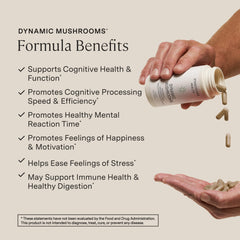 Stonehenge Health capsule close-up highlighting concentrated extract benefits
