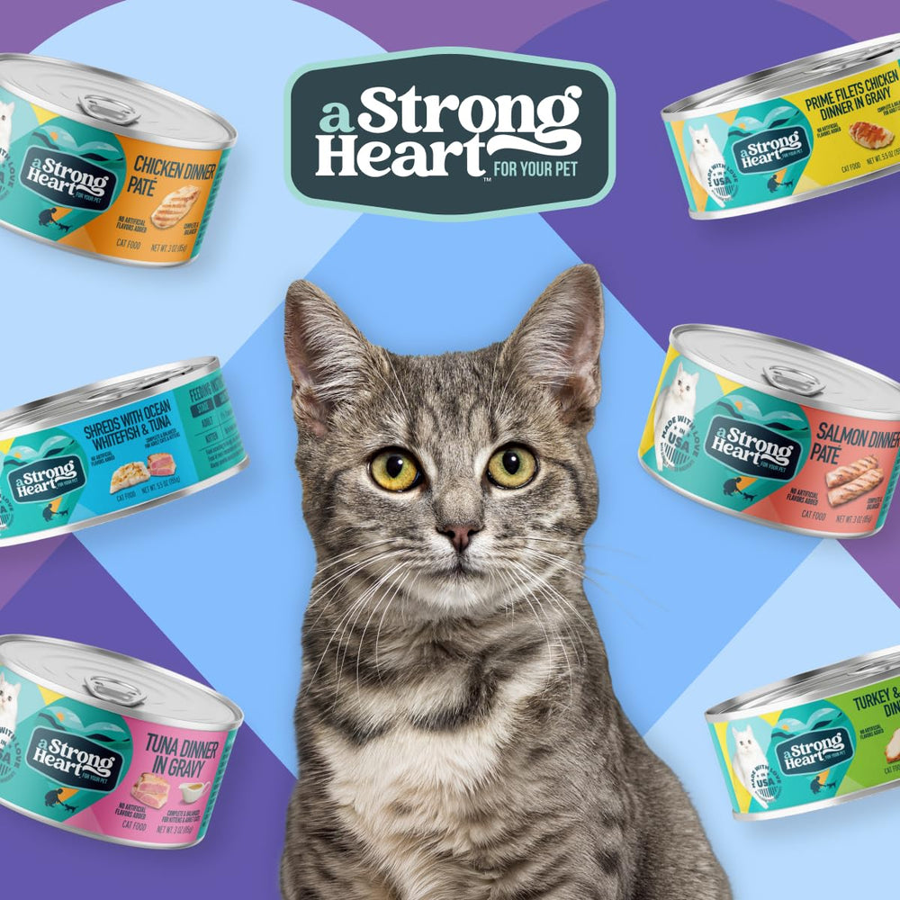 Strongheart gato comiendo en cocina mostrando aceptación y uso en hogar multi gato