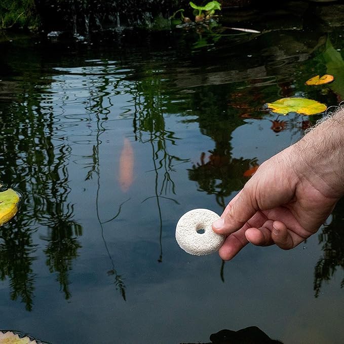 Summit dunk floating in birdbath preventing larval development