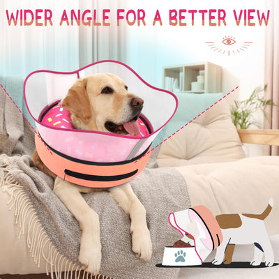 Supet inflated collar on small dog providing comfort and reduced stress