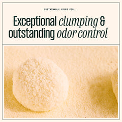 Sustainably Yours clumping demo with firm scoop showing easy cleanup