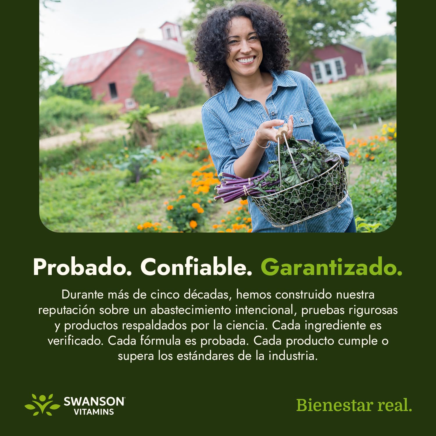 Swanson cápsula abierta con polvo de cúrcuma resaltando contenido activo