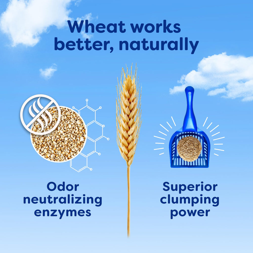 sWheat Scoop poca nube de polvo al verter, ideal para hogares limpios