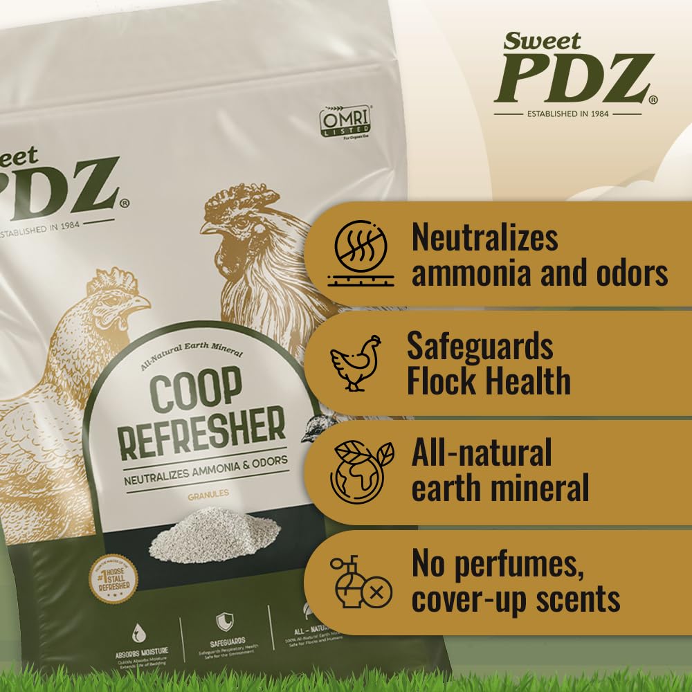 Aplicación de Sweet PDZ en cama de gallinero con aves, manteniendo la cama más seca