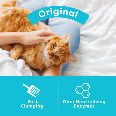 sWheat Scoop firm clump in scoop demonstrating easy cleanup and firm clumping