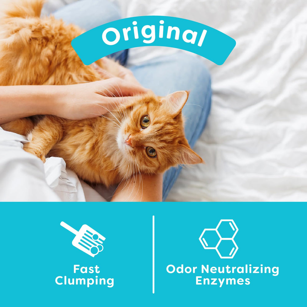 sWheat Scoop firm clump in scoop demonstrating easy cleanup and firm clumping