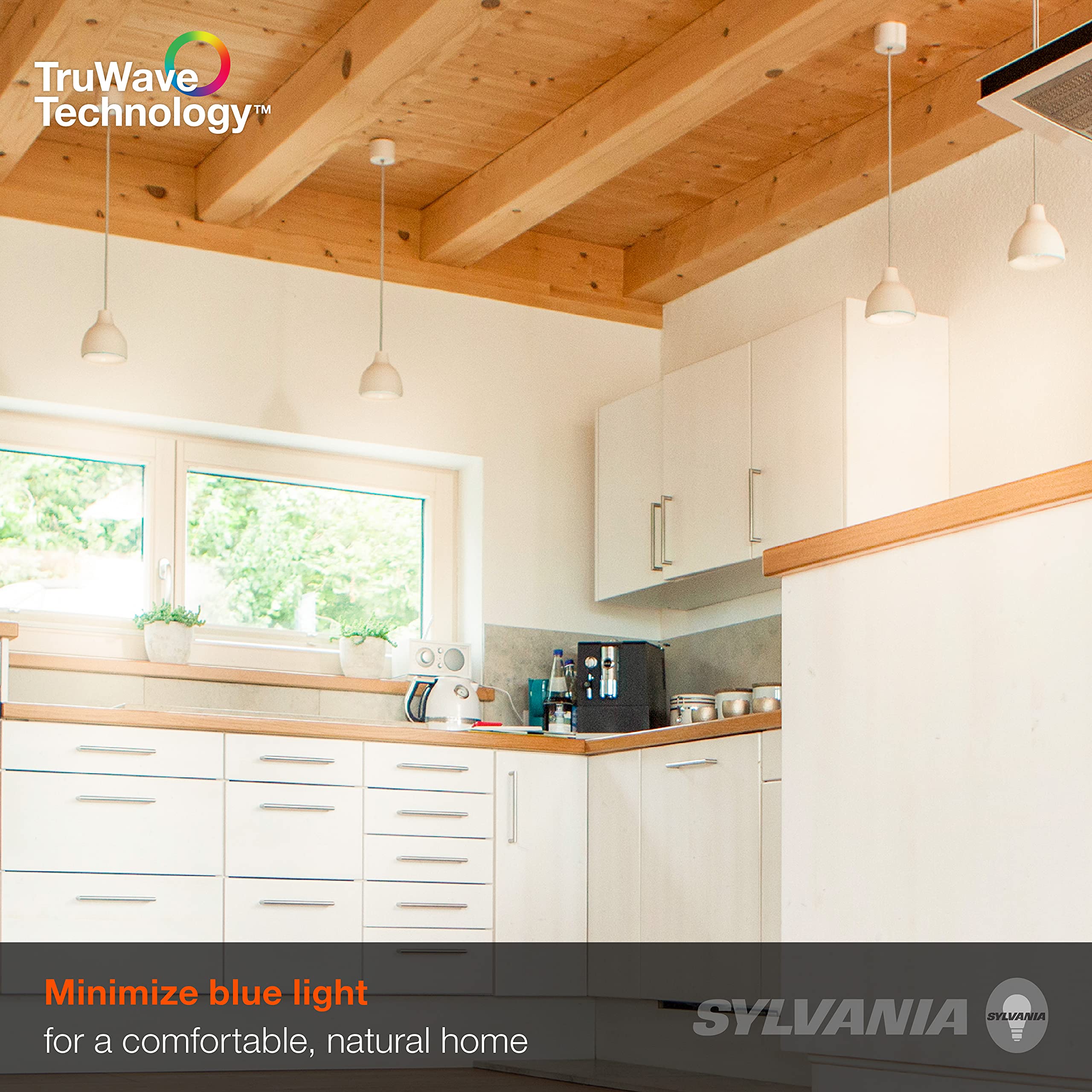 SYLVANIA comparación de tamaño A19 junto a regla para referencia visual