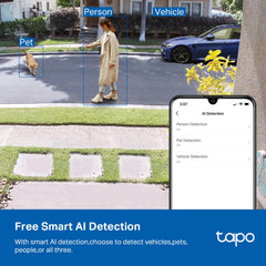 Tapo color night image showing Starlight sensor giving clearer night footage