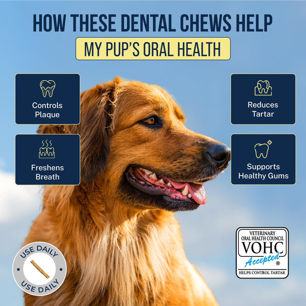 large dog chewing Tartar Shield chew demonstrating easy digestion benefit