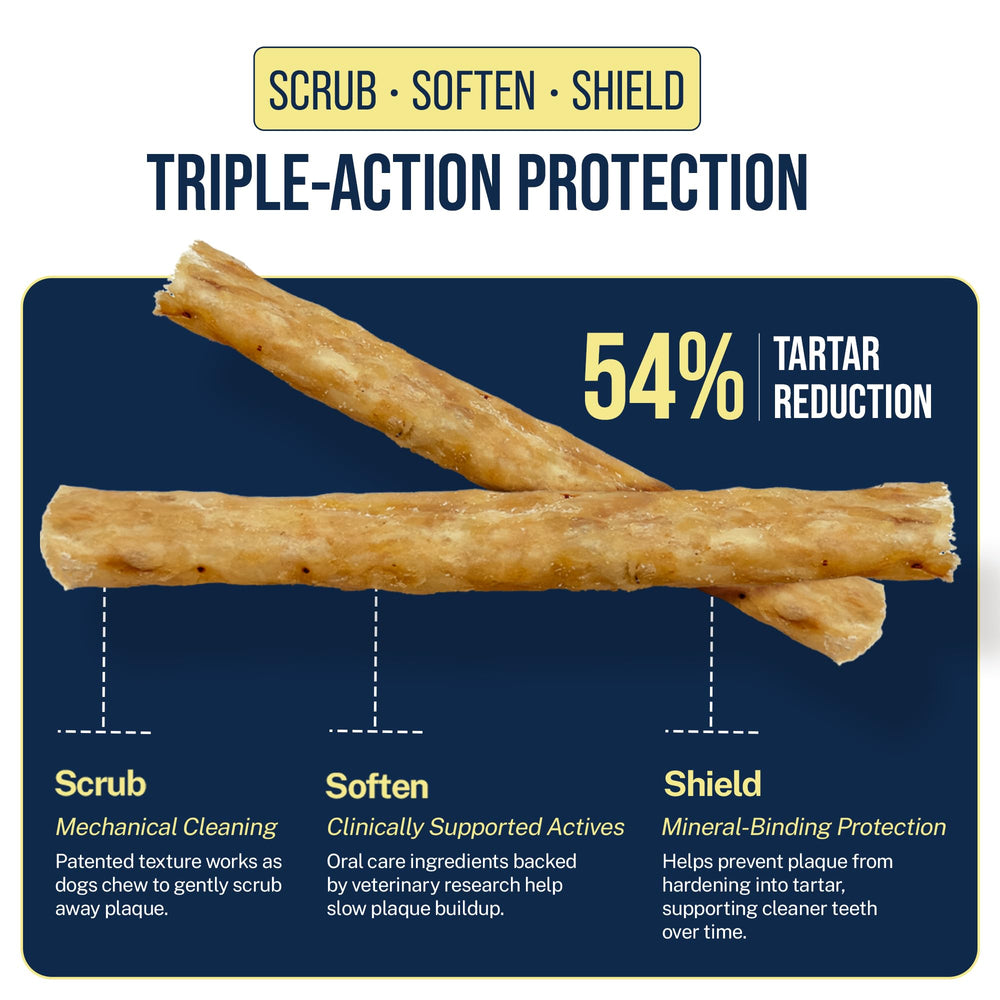 chew next to ruler for scale showing Tartar Shield size for large dogs