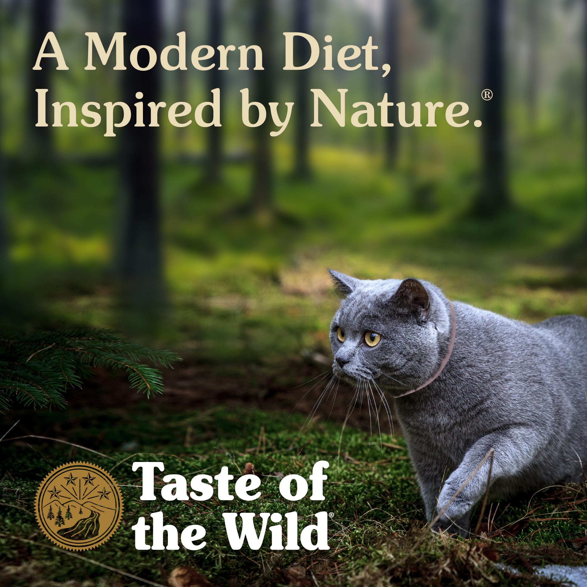 Taste of the Wild ingredientes venado asado y salmón ahumado juntos, sabor natural