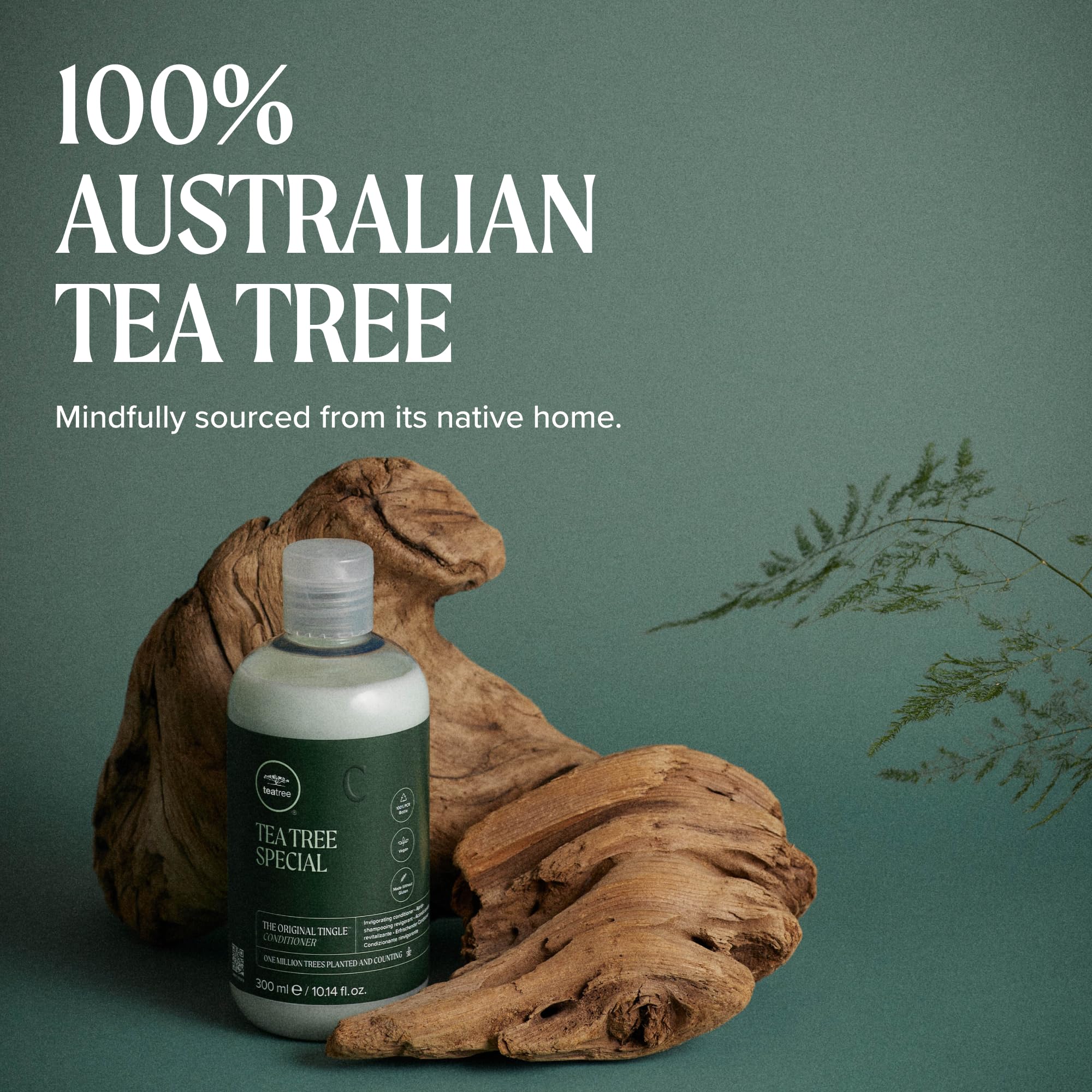 Cabello suave y manejable tras usar Tea Tree, sin encrespamiento visible