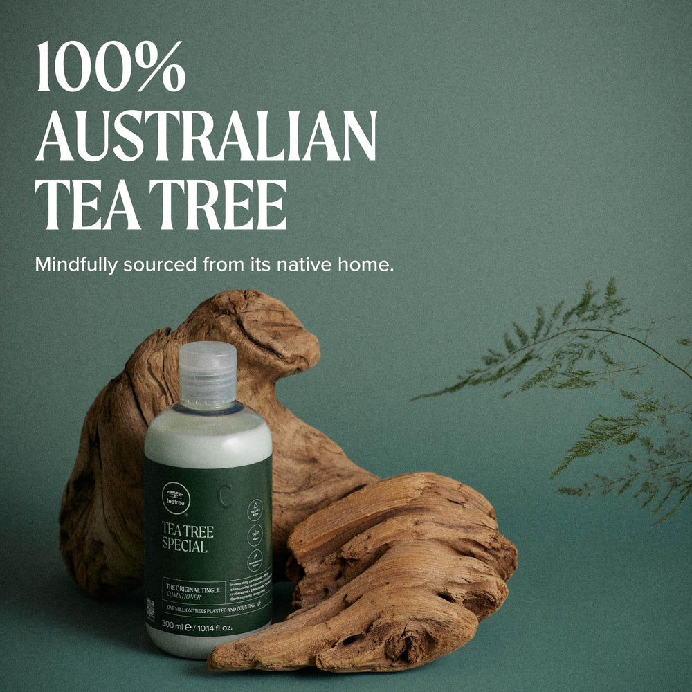 Tea Tree comparación de tamaño en mano para referencia de volumen