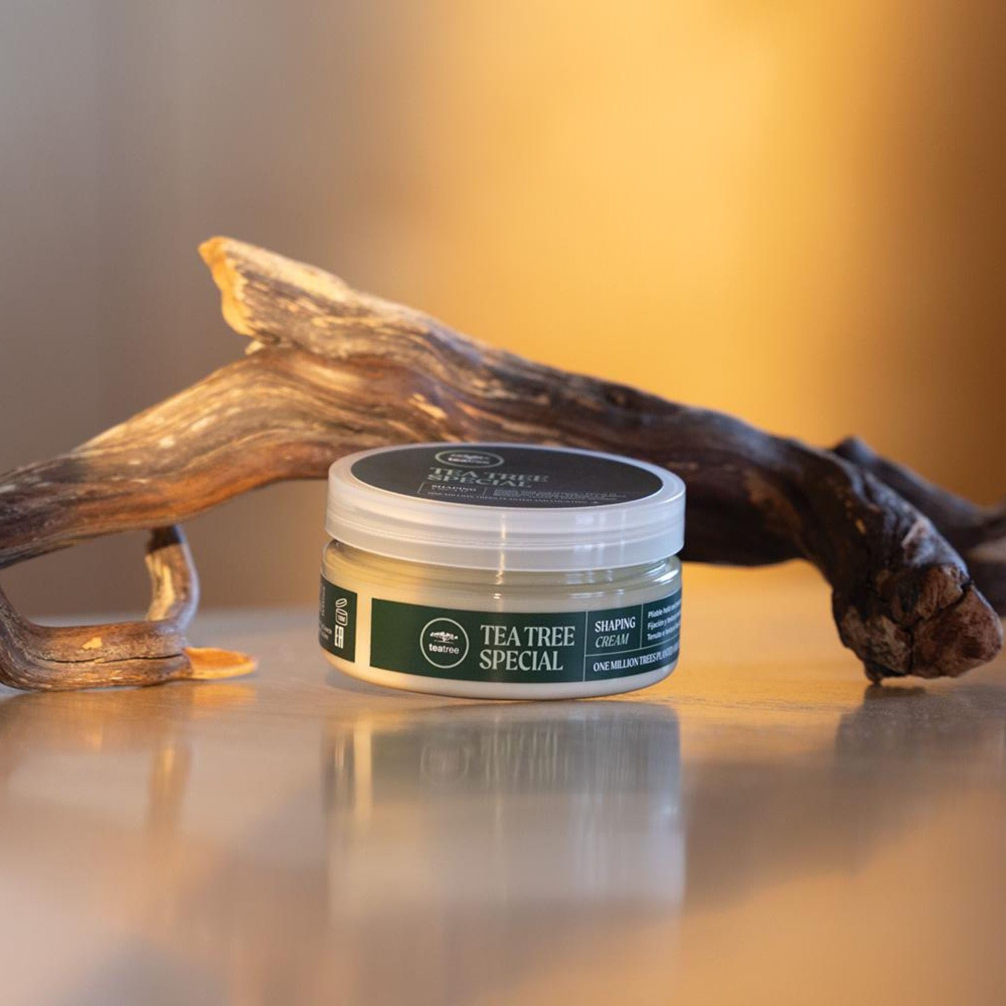Tea Tree mint and tea tree leaves representing fresh scent and botanicals