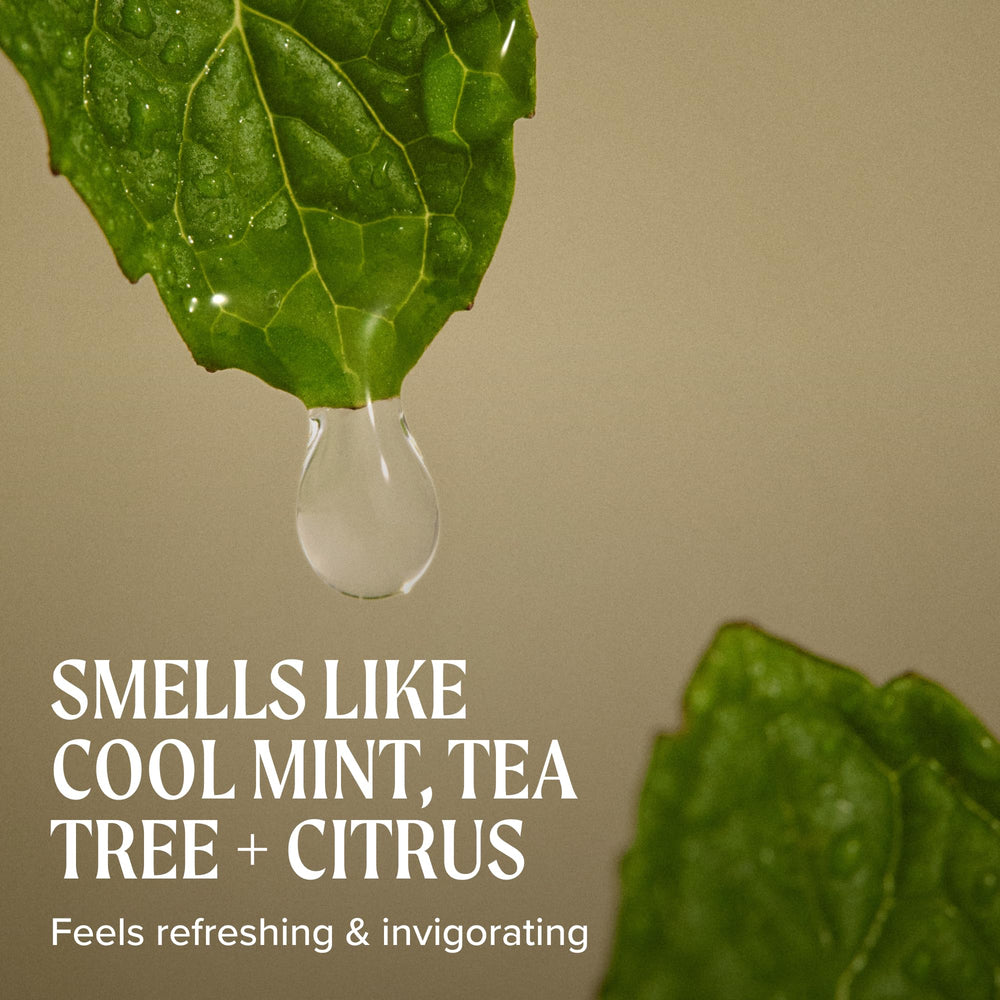 Tea Tree stylist applying cream for textured separation and flexible hold