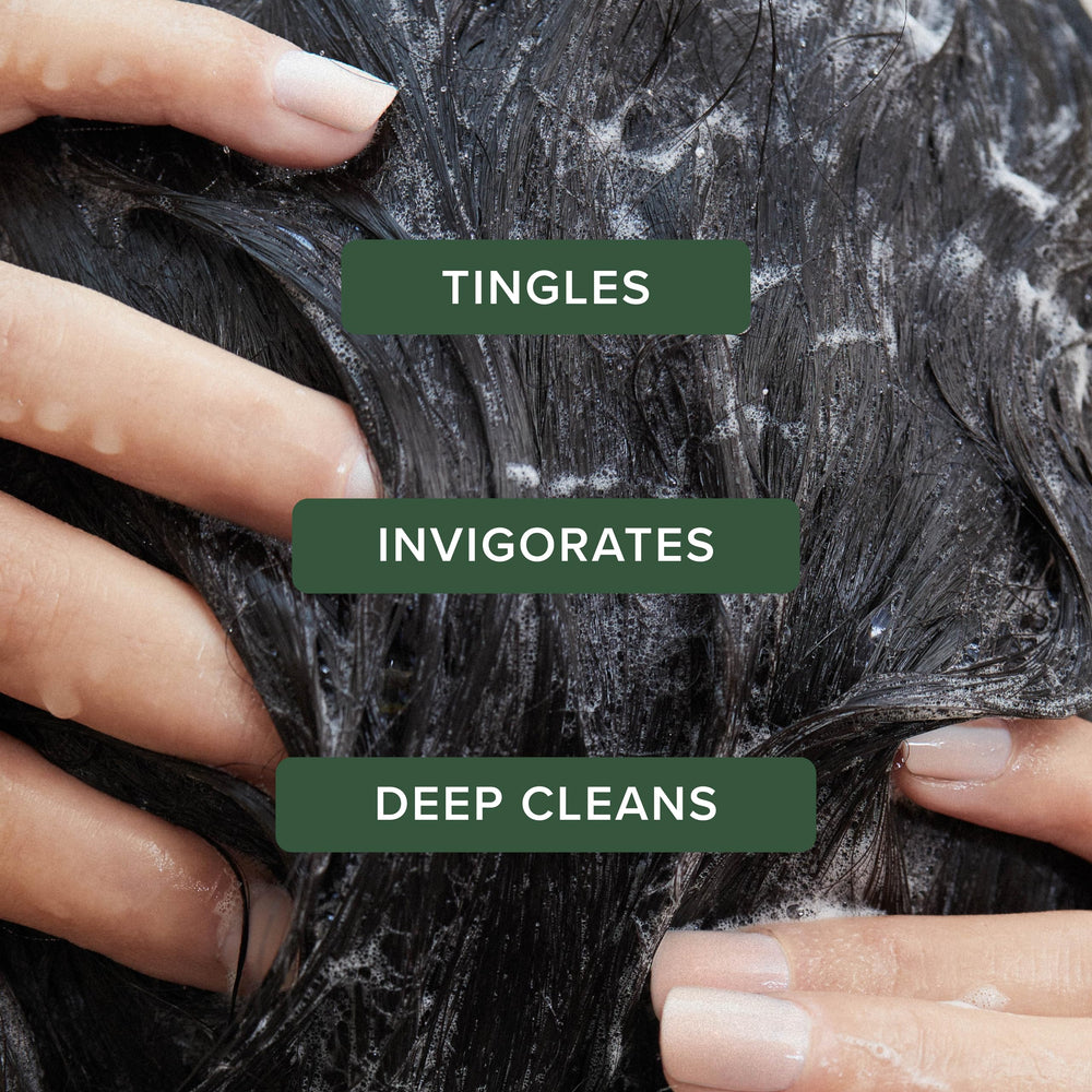 Tea Tree espuma rica en cabello que indica limpieza y frescura