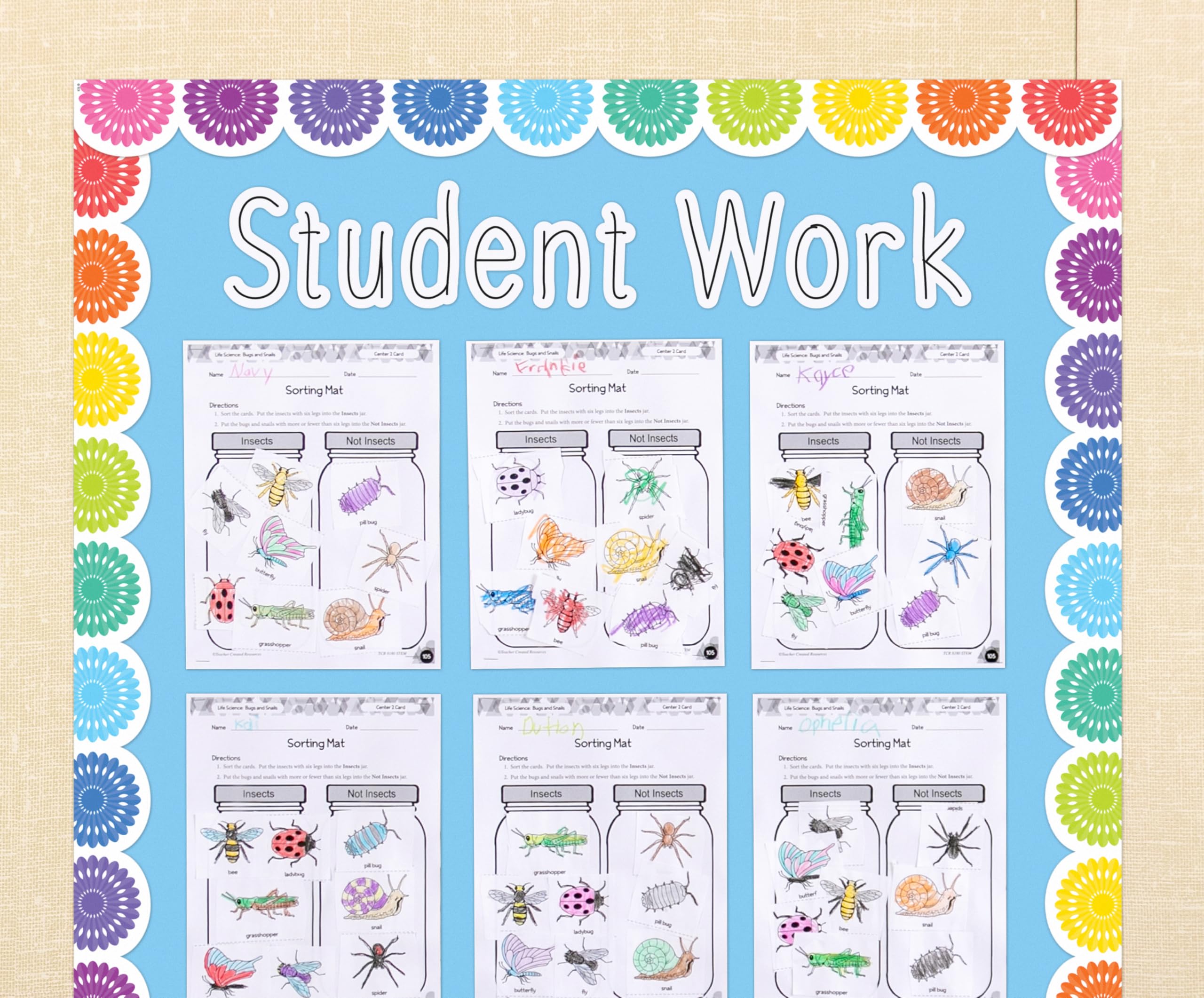 Teacher Created Resources rollo instalado en tablero escolar con trabajos pegados para organización efectiva