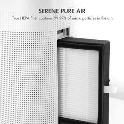 Tenergy Sorbi placed in bathroom showing moisture control benefit