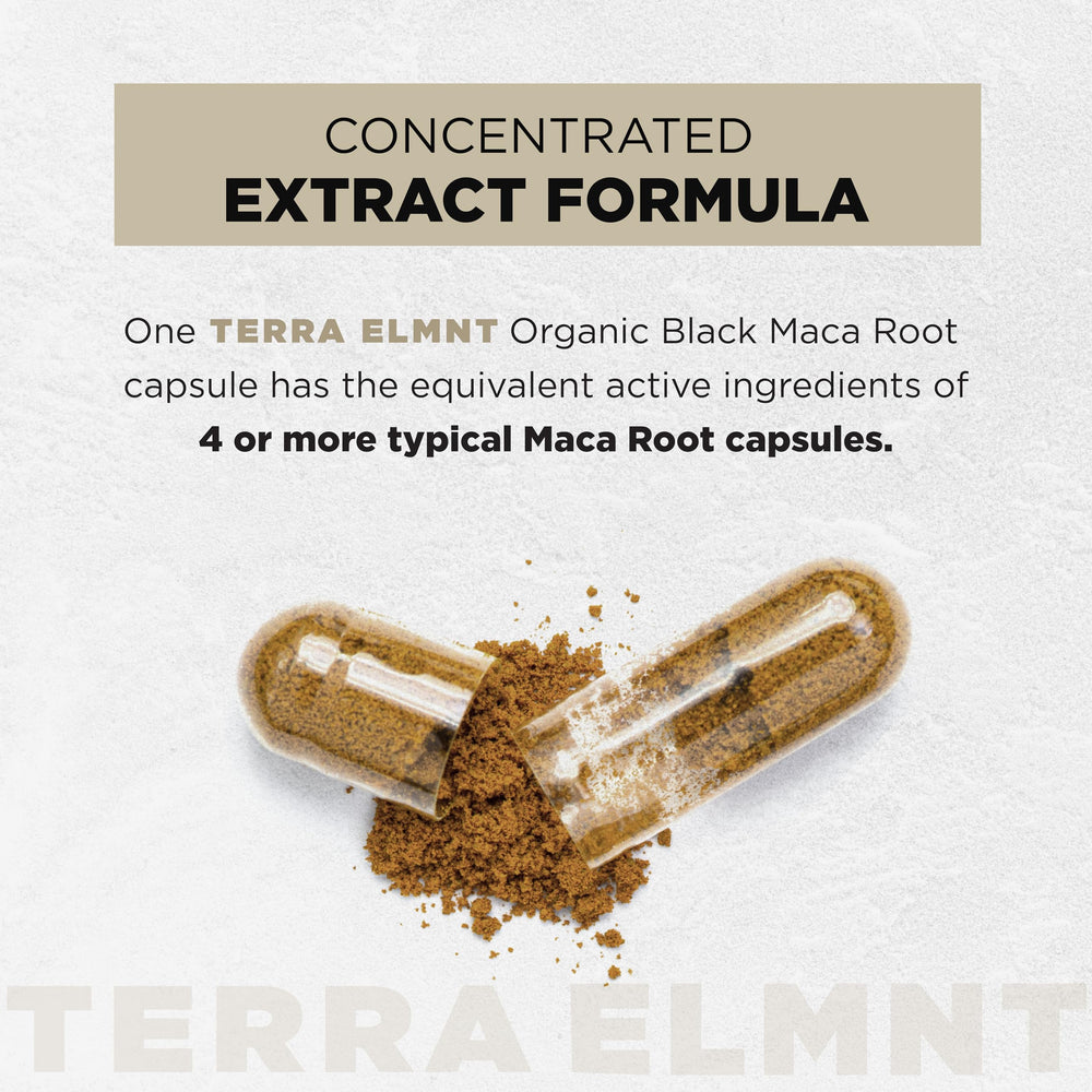 TERRA ELMNT polvo de maca textura gelatinizada, fácil digestión