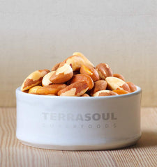 Terrasoul Superfoods leche vegetal casera preparada con nueces de Brasil, suave