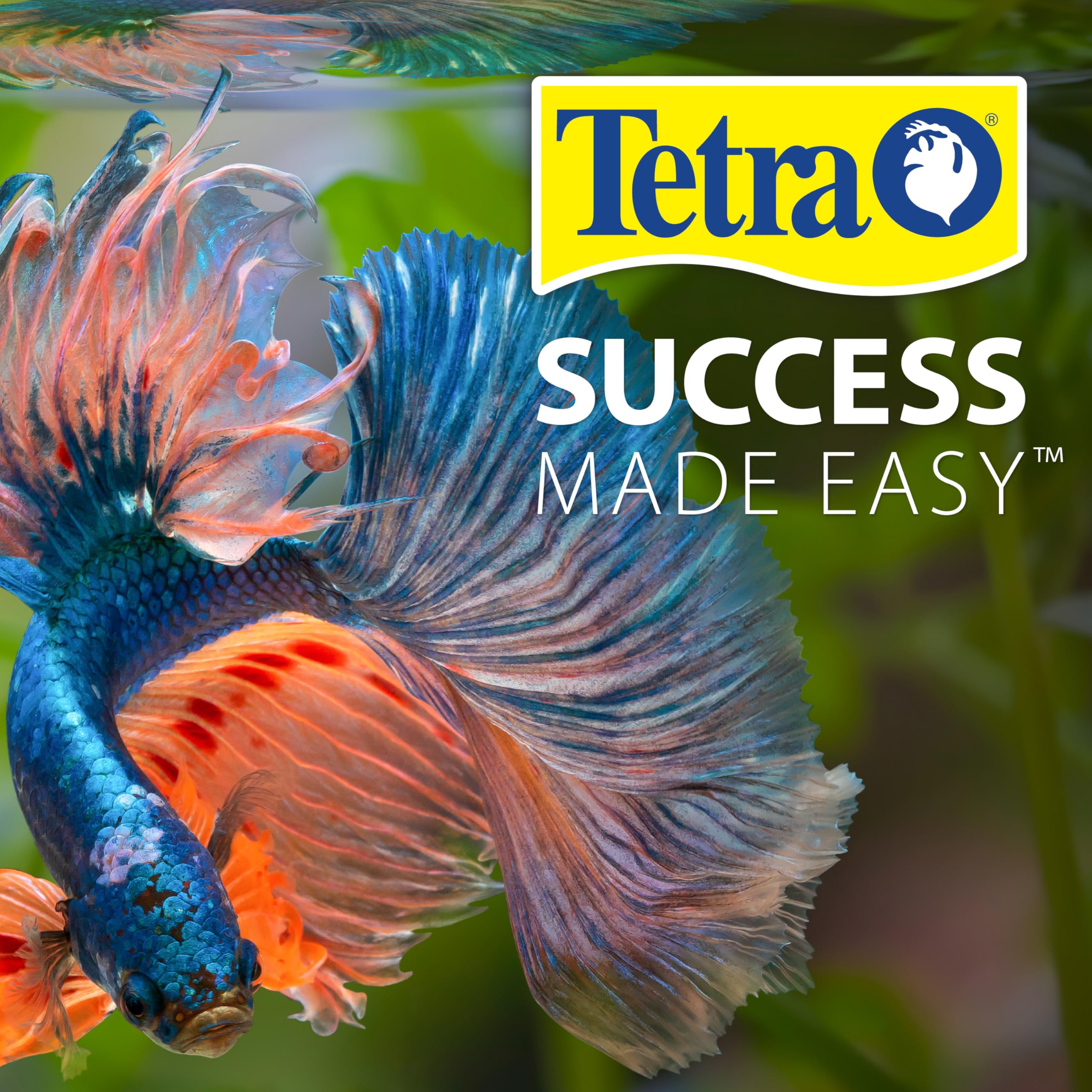 Acuario con agua transparente tras uso de Tetra AquaSafe Plus, ambiente saludable